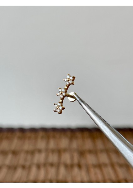 316 L Cerrahi Çelik 3 Papatya Pırlanta Modeli Helix Tragus Dudak Kıkırdak Piercingi