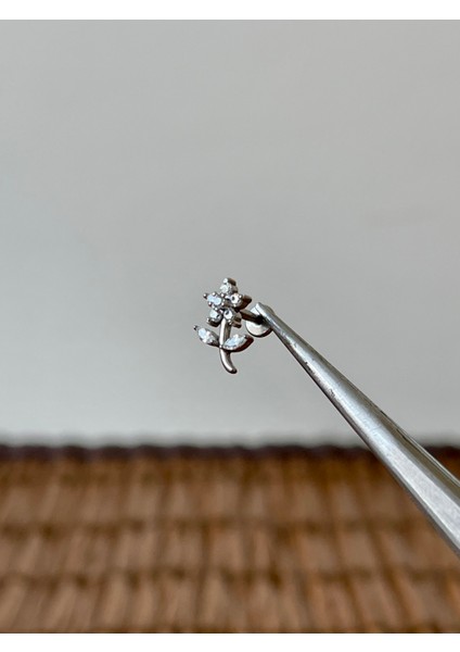 316 L Cerrahi Çelik Pırlanta Modeli Helix Tragus Dudak Kıkırdak Piercingi