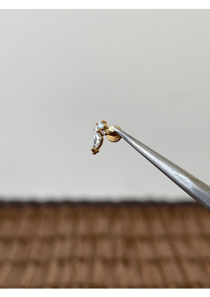 316 L Cerrahi Çelik Arma Zirkon Taşlı Helix Tragus Dudak Kıkırdak Piercingi