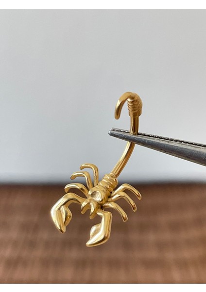 316 L Cerrahi Çelik Akrep Modeli Gold Renginde Göbek Piercingi