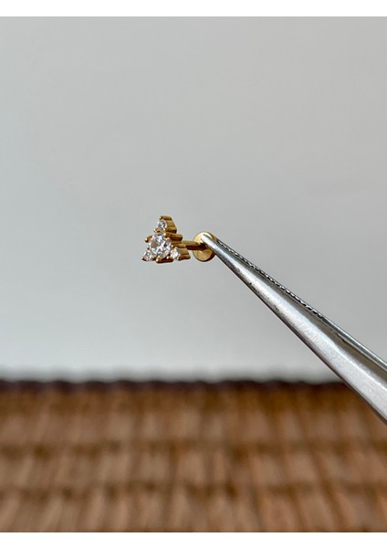 316 L Cerrahi Çelik Pırlanta Modeli Helix Tragus Dudak Kıkırdak Piercingi
