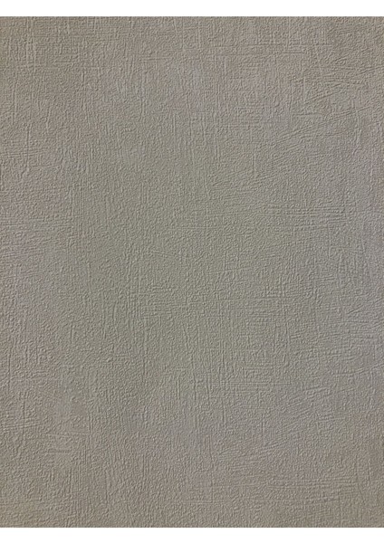 Duvar Kağıdı 1,06X15,5 cm (16,5m2) Silinebilir Özellikli Duvar Kağıdı Next 3605-4