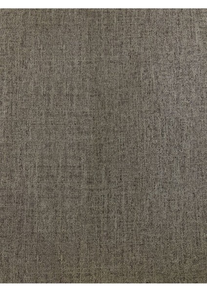 Duvar Kağıdı 1,06X15,5 cm (16,5m2) Silinebilir Özellikli Duvar Kağıdı Next 3607-4 modelleri