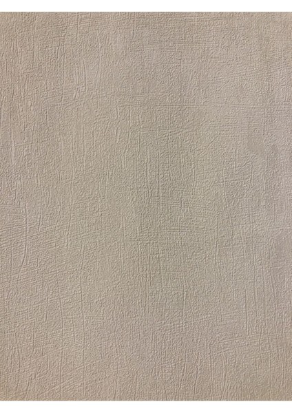 Duvar Kağıdı 1,06X15,5 cm (16,5m2) Silinebilir Özellikli Duvar Kağıdı Next 3605-5