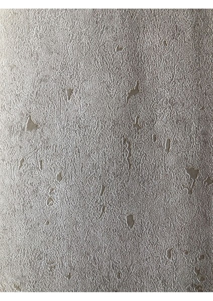 Duvar Kağıdı 1,06X15,5 cm (16,5m2) Silinebilir Özellikli Duvar Kağıdı Next 3606-2