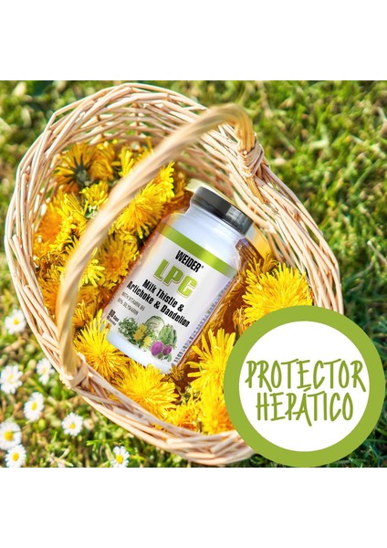 Lpc Liver Milk Thistle – Enginar Dandelion Protector Cleanse - 90 Caps