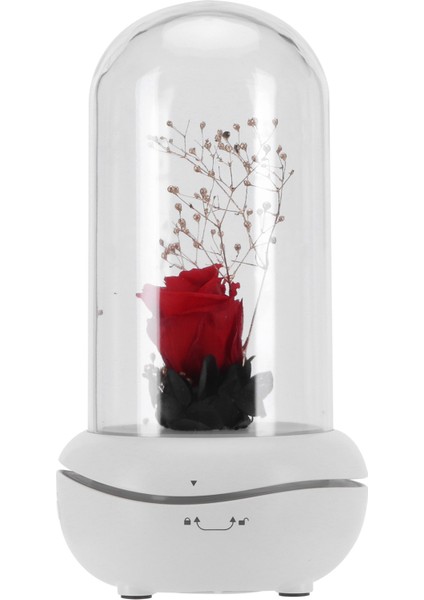 LED Koku Lambası Esansiyel Yağ Aroma Difüzörü Gece Lambası Yatak Odası Masaüstü Dekorasyonu (Yurt Dışından) fiyatları