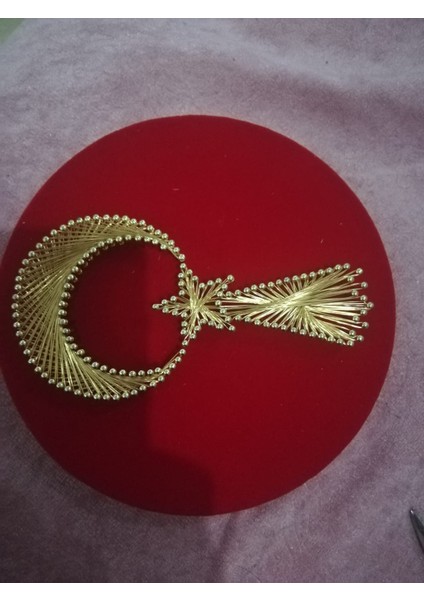 Filografi Şualı Plaket fiyatları