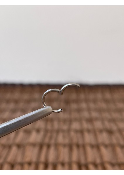 316 L Cerrahi Çelik Şık Kesme Baklava 8 mm x 1.2mm Gümüş Kilitli Halka Piercing fiyatları