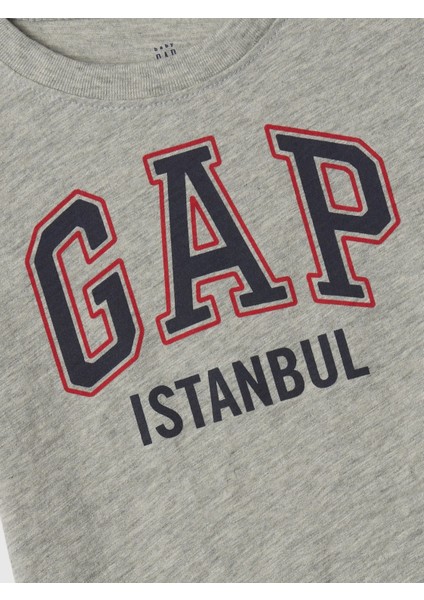 Erkek Bebek Gri babyGap logo tshirt fiyatları
