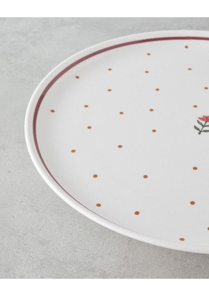 Renkli 13 Parça Seramik Pasta Takımı, 6 Kişilik, Şık ve Dayanıklı Tasarım indirimleri