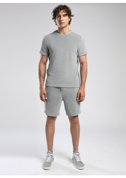 Yuvarlak Yaka Gri Erkek T-Shirt 252 Lcm 242008 Naul Gri