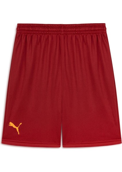 Galatasaray Antrenman Şort