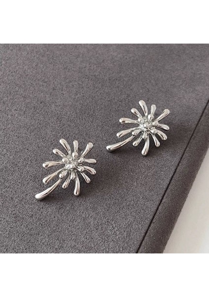 Niş Mizaç Küpe Trendi Banliyö Küpeleri ile Yüz (Yurt Dışından)