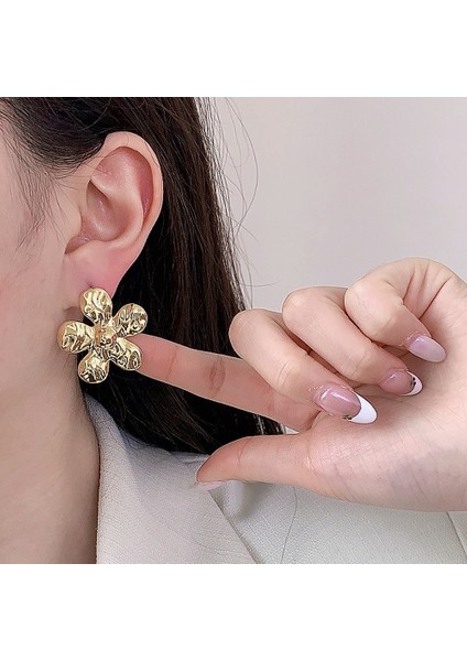Düzensiz Küpeler Niş Trend Moda Kişilik Küpeler Kadın (Yurt Dışından) modelleri