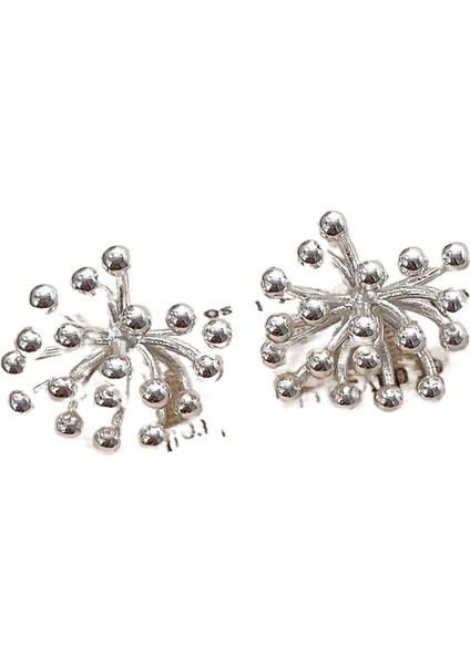 Niş Mizaç Metal Küpe Trendi Yüz Eşleşen Tasarım Kişilik Küpeleri (Yurt Dışından)