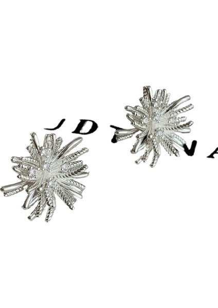 Niş Mizaç Metal Küpe Trendi Yüz Eşleşen Tasarım Kişilik Küpeleri (Yurt Dışından)