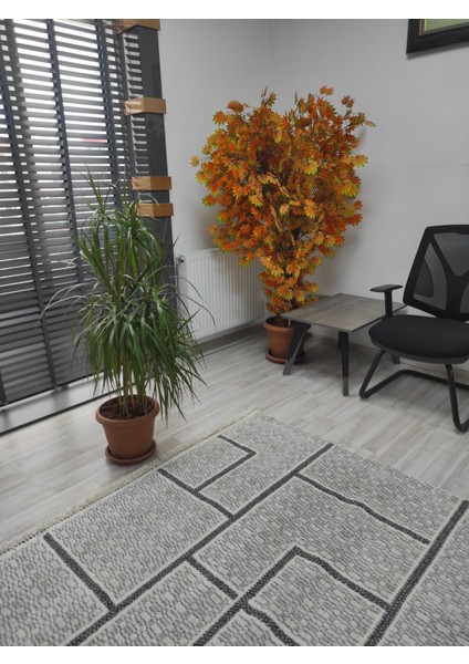 Modern Desenli Ekru Halı 160*230