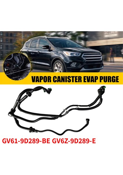 Araba Turbo Yakıt Buhar Ayırıcı Boru Hortum Vanası GV61-9D289-BE Ford Escape 1.5l 2017-2019 GV6Z-9D289-E GV619D289BE (Yurt Dışından) fiyatları