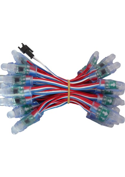 50 Adet WS2811 LED Piksel Işık Dize Reklam Dökme Su Geçirmez Tam Renkli Delikli Işık 12MM Dc 5 V (Yurt Dışından)