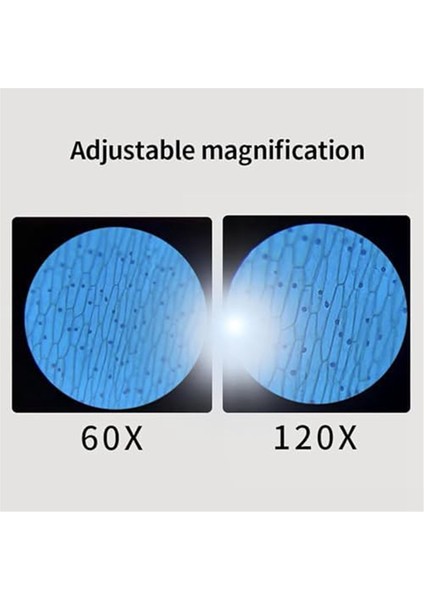Minilabsters Miniscope Çocuk, Mini Labsters Taşınabilir Mikroskop, Mini Labsters Taşınabilir Mikroskop (Beyaz) (Yurt Dışından) fırsatları