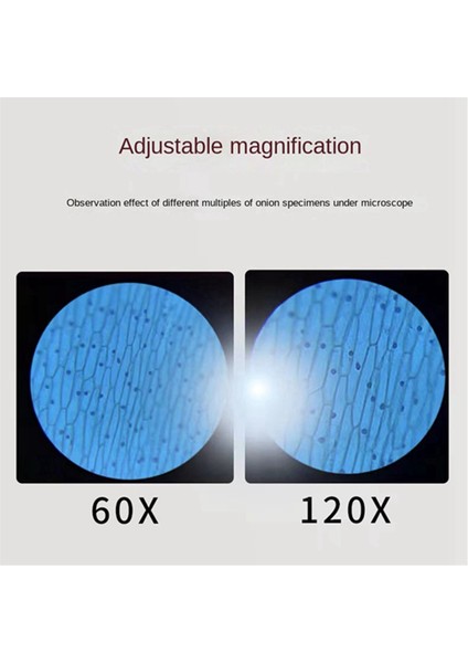 El Mikroskobu Bilim Laboratuvarı Mini El Akülü Çocuk Mikroskobu Beyaz (Yurt Dışından) indirimleri