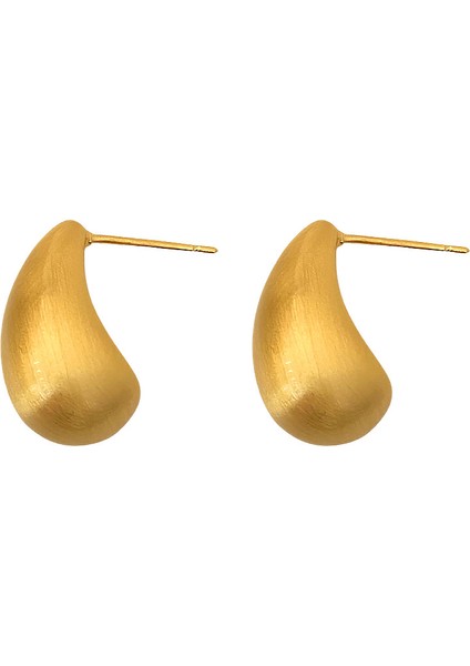 Niş Mizaç Metal Küpe Trendi Yüz Eşleşen Tasarım Kişilik Küpeleri (Yurt Dışından)