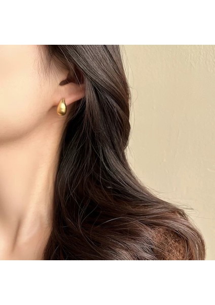 Niş Mizaç Metal Küpe Trendi Yüz Eşleşen Tasarım Kişilik Küpeleri (Yurt Dışından) modelleri