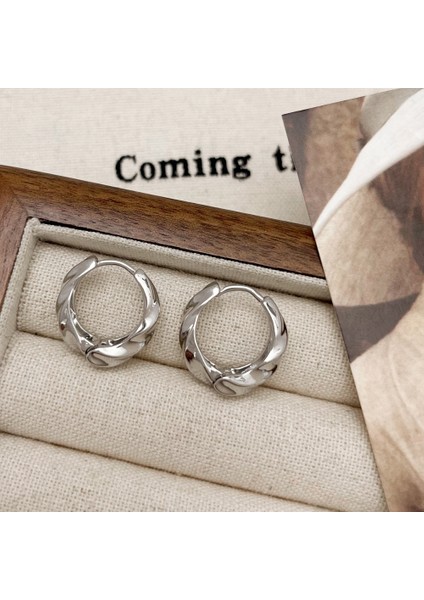 Niş Mizaç Metal Küpe Trendi Yüz Eşleşen Tasarım Kişilik Küpeleri (Yurt Dışından)