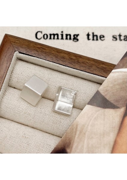 Düzensiz Küpeler Niş Trend Moda Kişilik Küpeler Kadın (Yurt Dışından)