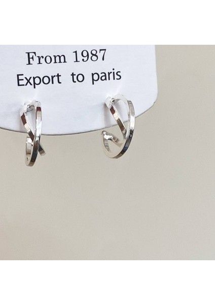 Niş Mizaç Metal Küpe Trendi Yüz Eşleşen Tasarım Kişilik Küpeleri (Yurt Dışından)