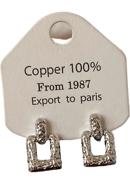 Niş Mizaç Metal Küpe Trendi Yüz Eşleşen Tasarım Kişilik Küpeleri (Yurt Dışından)