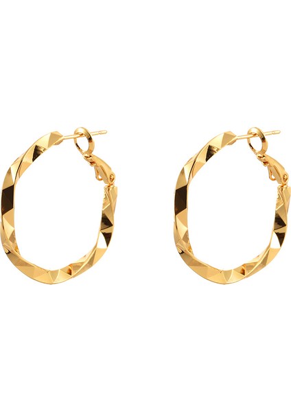 Niş Mizaç Metal Küpe Trendi Yüz Eşleşen Tasarım Kişilik Küpeleri (Yurt Dışından)