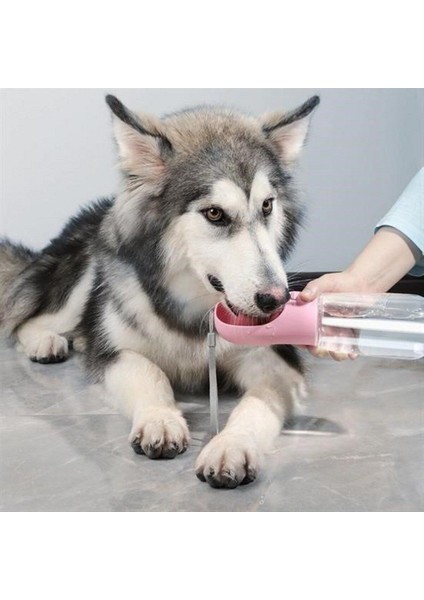 Taşınabilir Evcil Hayvan Suluğu Seyahat Kabı Kilitlenebilen Su Sızdırmaz Kap 350 ml fiyatları