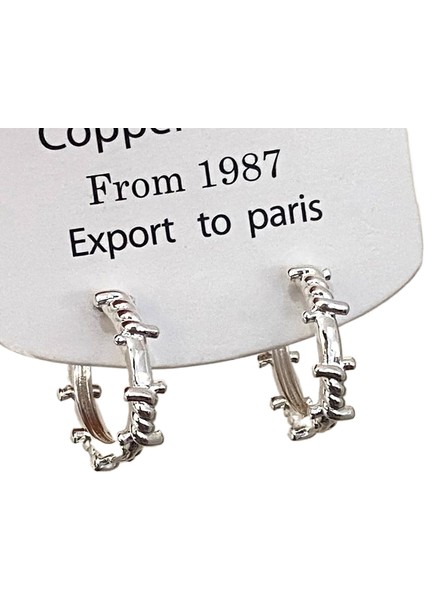 Niş Mizaç Metal Küpe Trendi Yüz Eşleşen Tasarım Kişilik Küpeleri (Yurt Dışından)