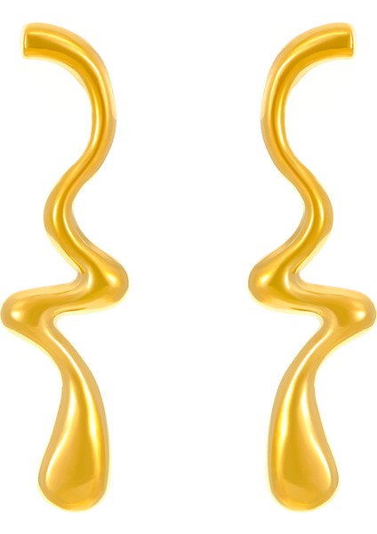 Avrupa ve Amerika Birleşik Devletleri Modası Vahşi Kişilik Paslanmaz Çelik Küpeler Kadın Geometrik Küpeler Saplama Küpeler (Yurt Dışından)