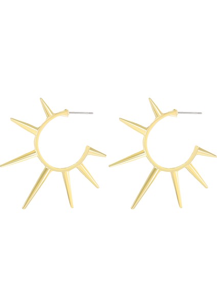 Avrupa ve Amerika Birleşik Devletleri Modası Vahşi Kişilik Paslanmaz Çelik Küpeler Kadın Geometrik Küpeler Saplama Küpeler (Yurt Dışından)