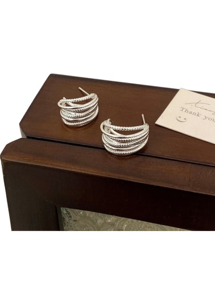 Niş Mizaç Trendi Banliyö Küpeleri (Yurt Dışından)