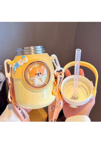 Çelik pipetli, çift katmanlı, 700ml, kayışlı, BPA free, şık ve suluk, 0,90 L