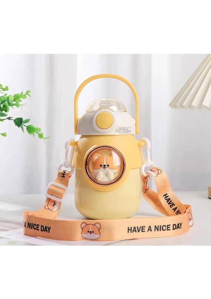 Çelik pipetli, çift katmanlı, 700ml, kayışlı, BPA free, şık ve suluk, 0,90 L indirimleri