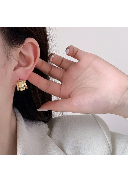 Niş Mizaç Metal Trendi Tasarım Küpeleri (Yurt Dışından) modelleri