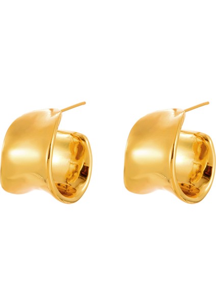 Niş Mizaç Metal Trendi Tasarım Küpeleri (Yurt Dışından)