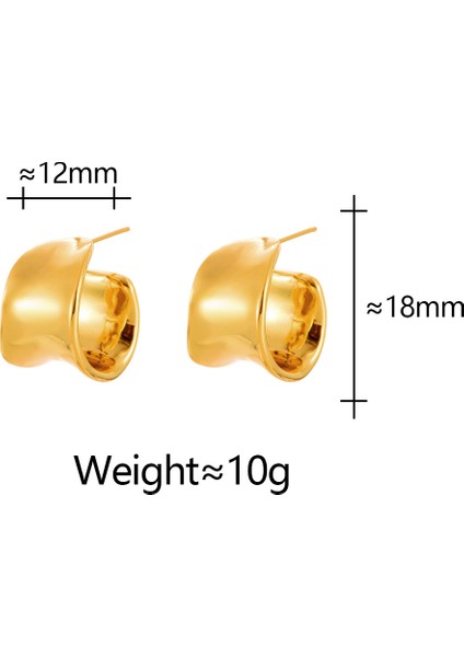 Niş Mizaç Metal Trendi Tasarım Küpeleri (Yurt Dışından) fiyatları