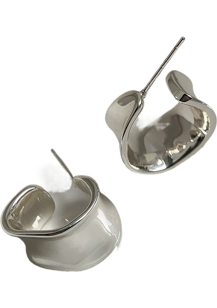 Niş Mizaç Metal Trendi Tasarım Küpeleri (Yurt Dışından)