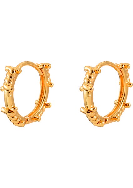 Niş Mizaç Metal Trendi Tasarım Küpeleri (Yurt Dışından)