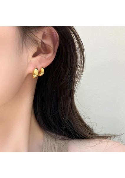 Niş Mizaç Metal Trendi Tasarım Küpeleri (Yurt Dışından) modelleri