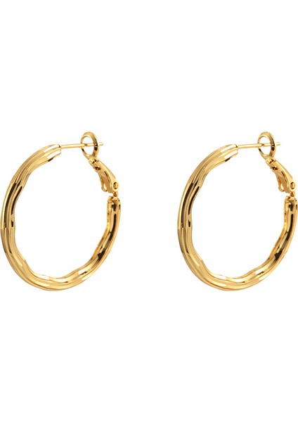 Niş Mizaç Metal Trendi Tasarım Küpeleri (Yurt Dışından)