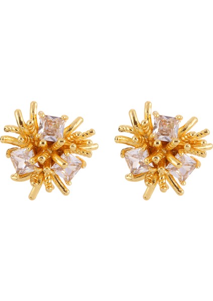 Niş Mizaç Metal Trendi Tasarım Küpeleri (Yurt Dışından)