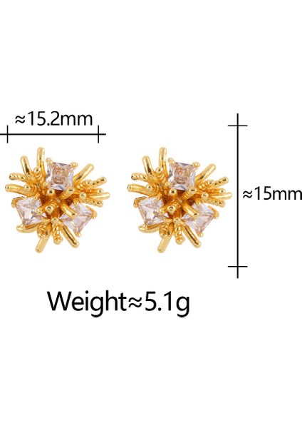 Niş Mizaç Metal Trendi Tasarım Küpeleri (Yurt Dışından) fiyatları