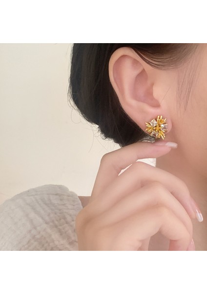 Niş Mizaç Metal Trendi Tasarım Küpeleri (Yurt Dışından) modelleri